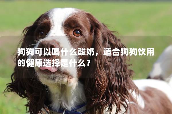 狗狗可以喝什么酸奶,适合狗狗饮用的健康选择是什么?