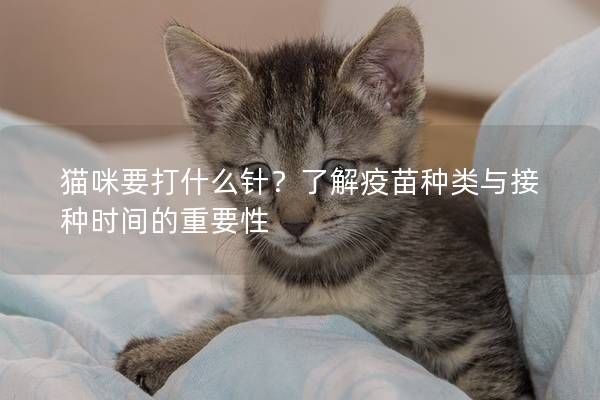 猫咪要打什么针？了解疫苗种类与接种时间的重要性