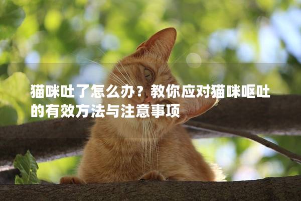 猫咪吐了怎么办？教你应对猫咪呕吐的有效方法与注意事项