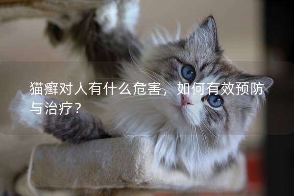 猫癣对人有什么危害，如何有效预防与治疗？