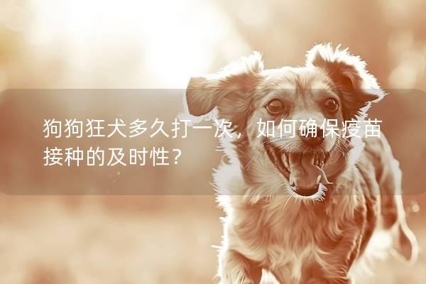 狗狗狂犬多久打一次，如何确保疫苗接种的及时性？