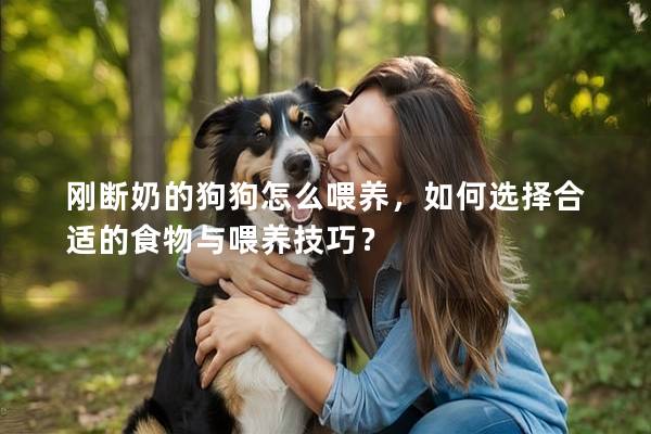 刚断奶的狗狗怎么喂养，如何选择合适的食物与喂养技巧？