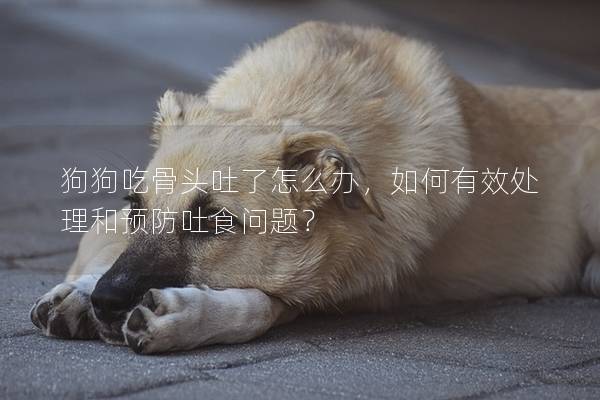 狗狗吃骨头吐了怎么办，如何有效处理和预防吐食问题？