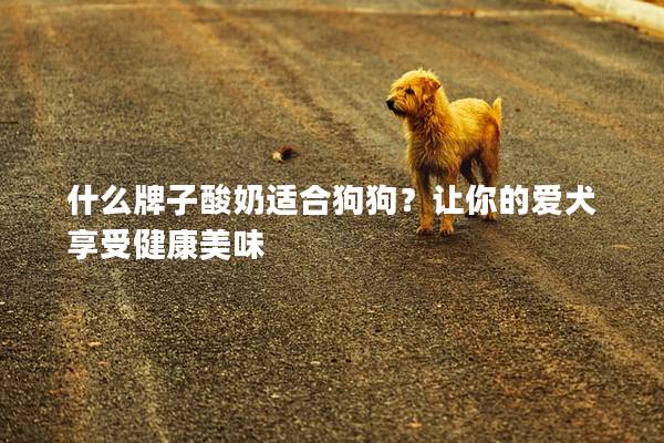 什么牌子酸奶适合狗狗？让你的爱犬享受健康美味