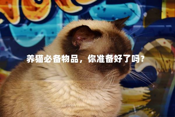 养猫必备物品，你准备好了吗？