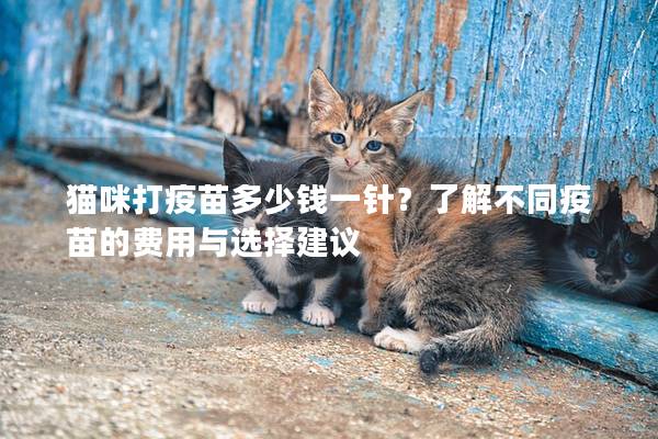 猫咪打疫苗多少钱一针？了解不同疫苗的费用与选择建议