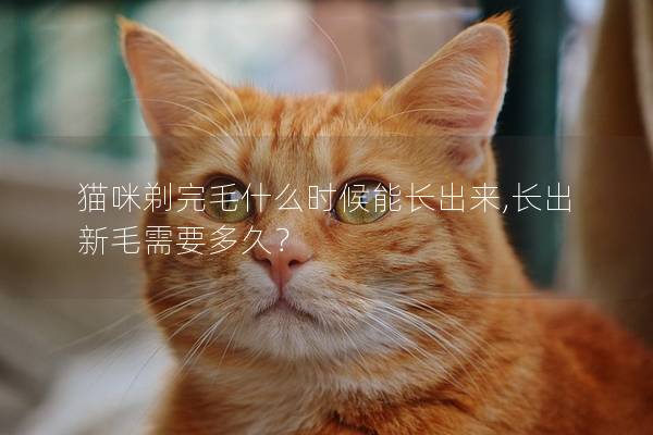 猫咪剃完毛什么时候能长出来,长出新毛需要多久？