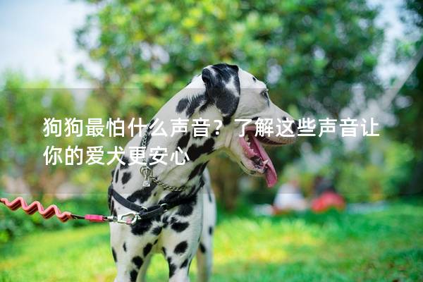 狗狗最怕什么声音？了解这些声音让你的爱犬更安心