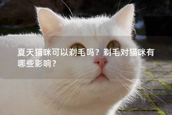 夏天猫咪可以剃毛吗？剃毛对猫咪有哪些影响？