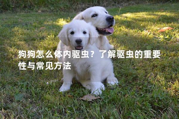 狗狗怎么体内驱虫？了解驱虫的重要性与常见方法