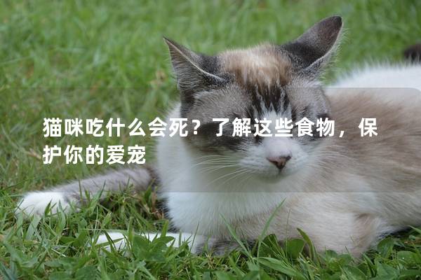 猫咪吃什么会死？了解这些食物，保护你的爱宠