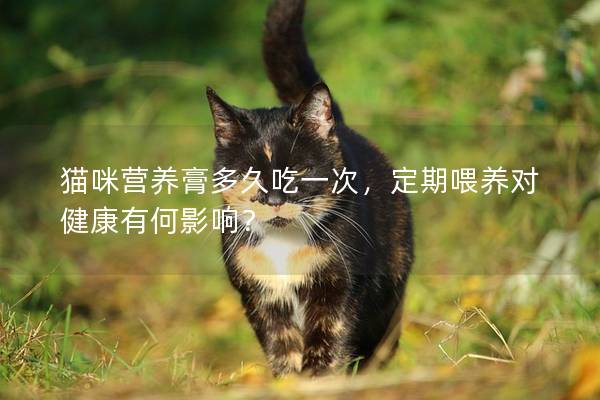 猫咪营养膏多久吃一次，定期喂养对健康有何影响？