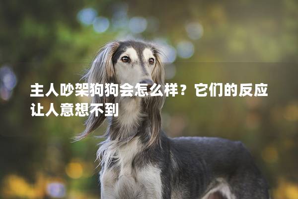 主人吵架狗狗会怎么样？它们的反应让人意想不到