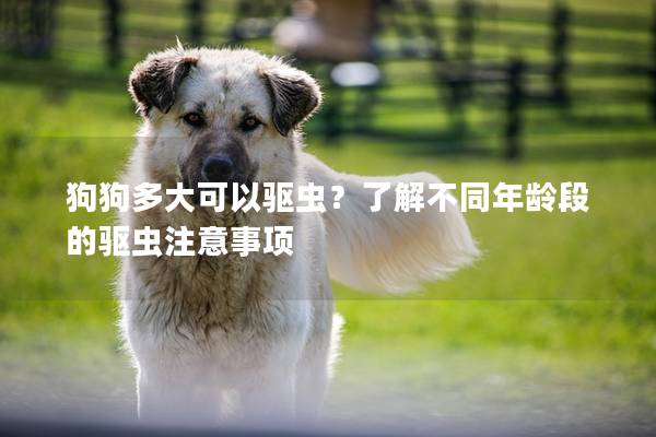 狗狗多大可以驱虫？了解不同年龄段的驱虫注意事项