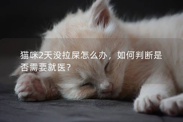 猫咪2天没拉屎怎么办，如何判断是否需要就医？