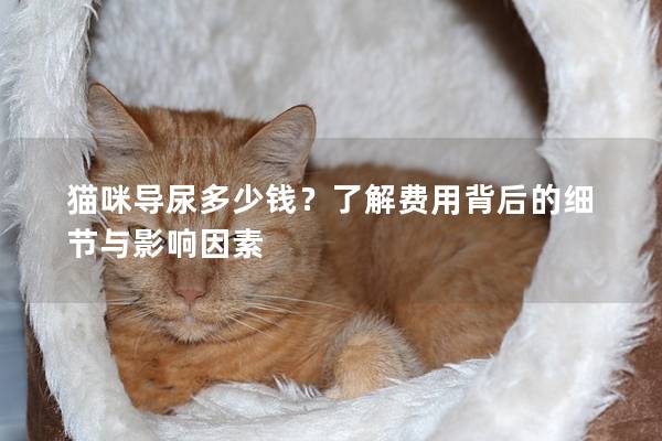 猫咪导尿多少钱？了解费用背后的细节与影响因素