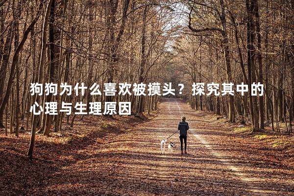 狗狗为什么喜欢被摸头？探究其中的心理与生理原因