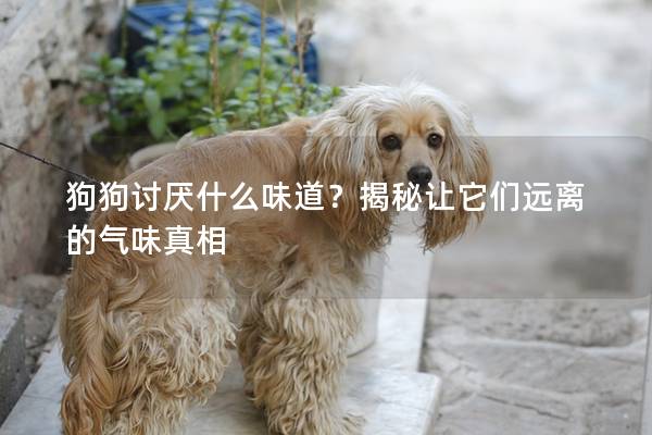 狗狗讨厌什么味道？揭秘让它们远离的气味真相