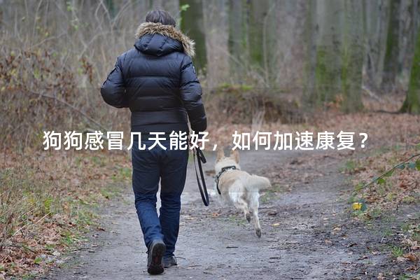 狗狗感冒几天能好，如何加速康复？