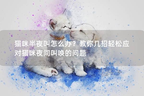 猫咪半夜叫怎么办？教你几招轻松应对猫咪夜间叫唤的问题