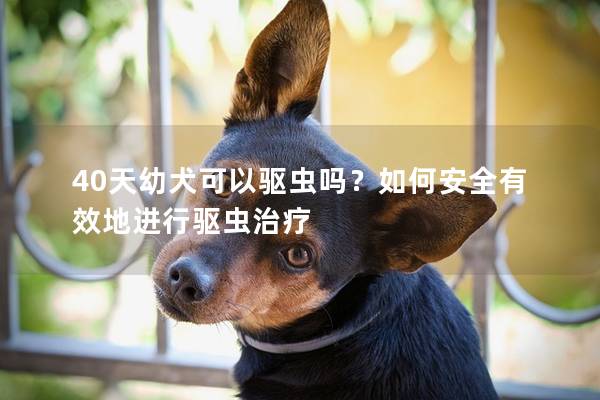 40天幼犬可以驱虫吗？如何安全有效地进行驱虫治疗