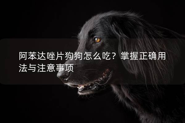 阿苯达唑片狗狗怎么吃？掌握正确用法与注意事项