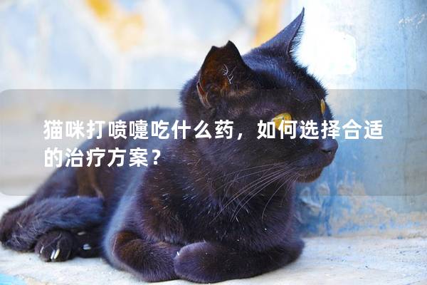 猫咪打喷嚏吃什么药，如何选择合适的治疗方案？