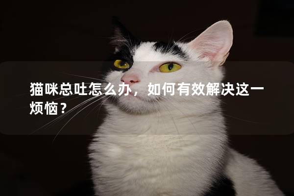 猫咪总吐怎么办，如何有效解决这一烦恼？