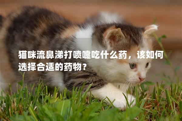 猫咪流鼻涕打喷嚏吃什么药，该如何选择合适的药物？