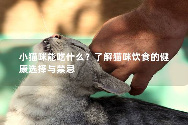 小猫咪能吃什么？了解猫咪饮食的健康选择与禁忌