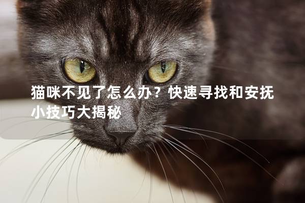 猫咪不见了怎么办？快速寻找和安抚小技巧大揭秘