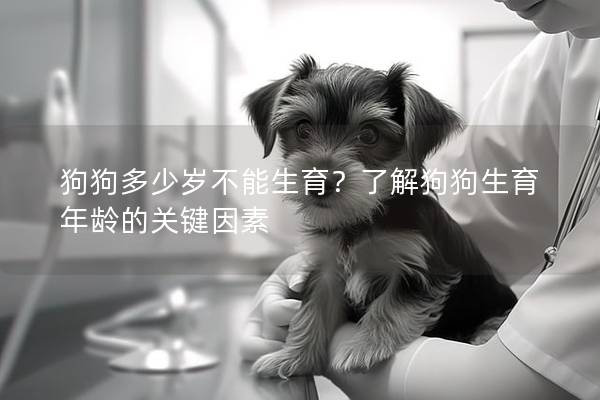 狗狗多少岁不能生育？了解狗狗生育年龄的关键因素