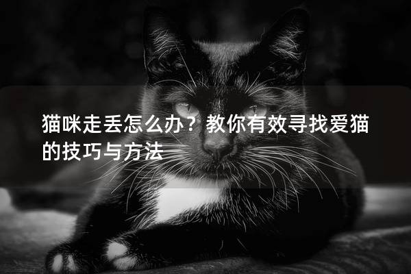 猫咪走丢怎么办？教你有效寻找爱猫的技巧与方法