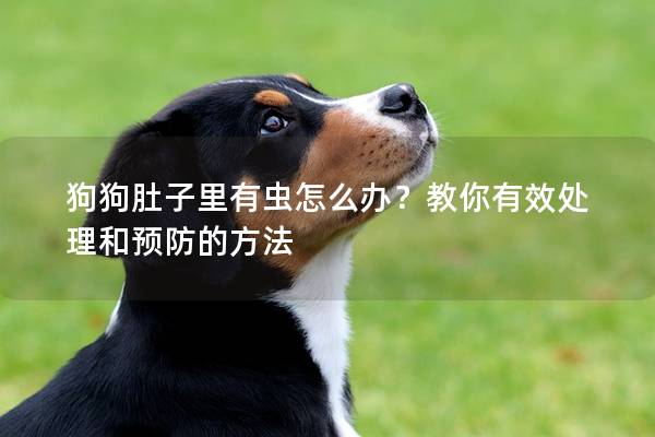 狗狗肚子里有虫怎么办？教你有效处理和预防的方法