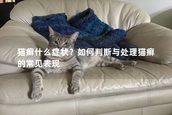 猫癣什么症状？如何判断与处理猫癣的常见表现