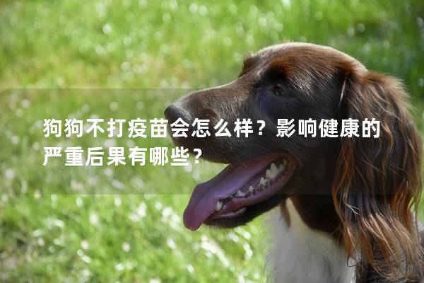 狗狗不打疫苗会怎么样？影响健康的严重后果有哪些？