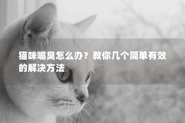 猫咪嘴臭怎么办?教你几个简单有效的解决方法
