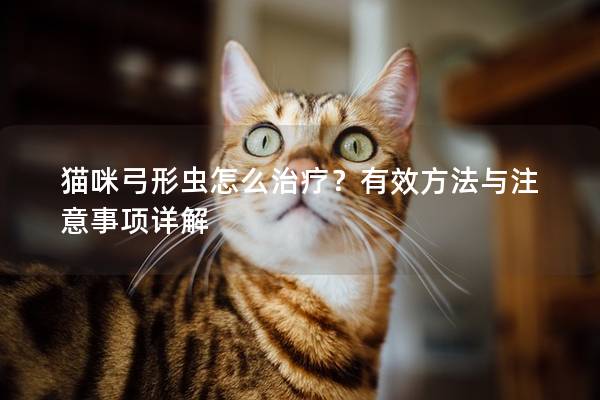 猫咪弓形虫怎么治疗？有效方法与注意事项详解