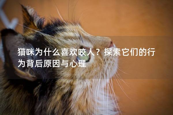 猫咪为什么喜欢咬人？探索它们的行为背后原因与心理