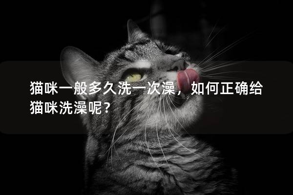 猫咪一般多久洗一次澡，如何正确给猫咪洗澡呢？