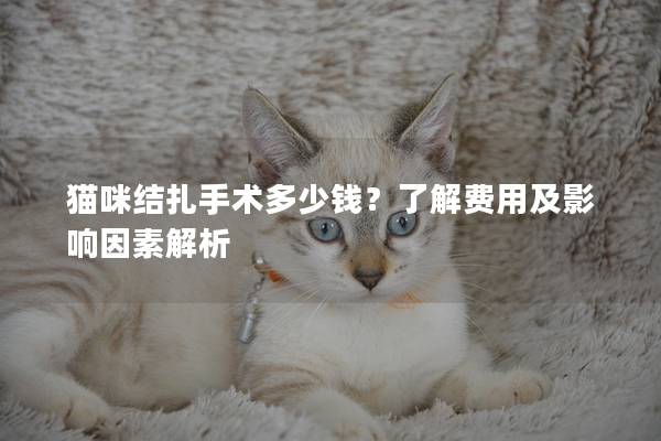 猫咪结扎手术多少钱？了解费用及影响因素解析