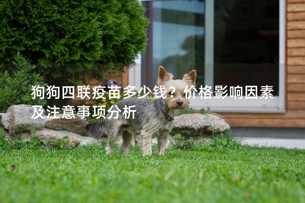 狗狗四联疫苗多少钱？价格影响因素及注意事项分析