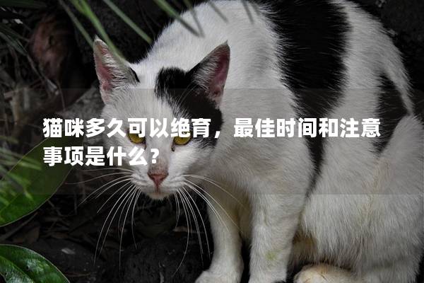 猫咪多久可以绝育，最佳时间和注意事项是什么？