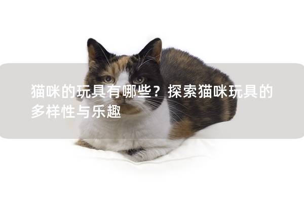 猫咪的玩具有哪些？探索猫咪玩具的多样性与乐趣