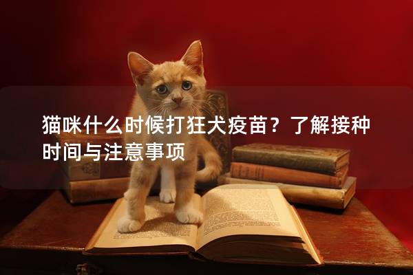 猫咪什么时候打狂犬疫苗？了解接种时间与注意事项