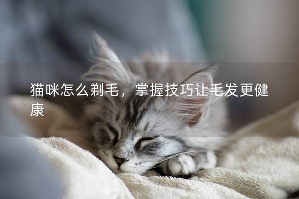 猫咪怎么剃毛，掌握技巧让毛发更健康