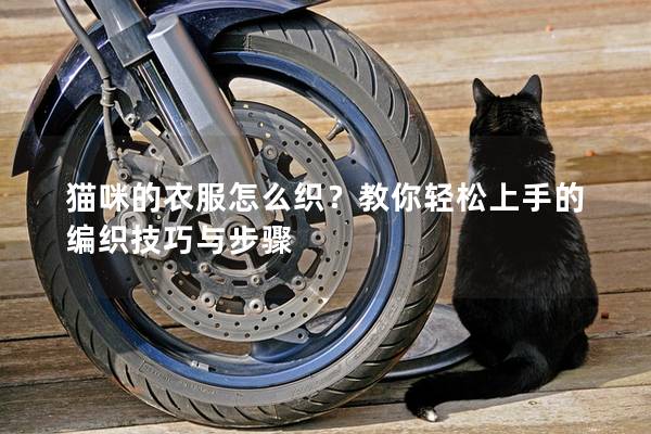 猫咪的衣服怎么织？教你轻松上手的编织技巧与步骤