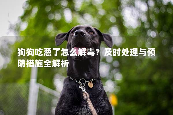 狗狗吃葱了怎么解毒？及时处理与预防措施全解析