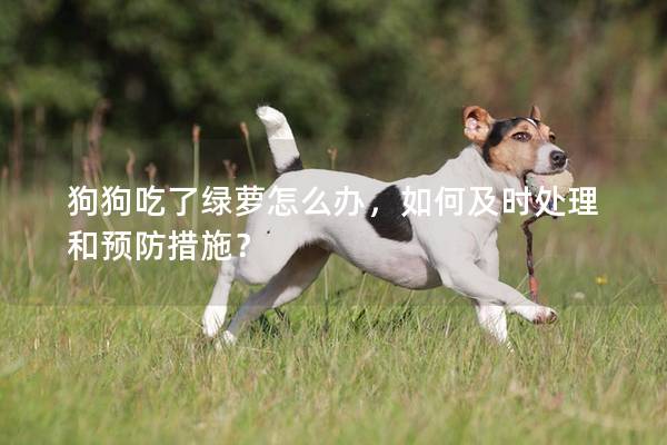 狗狗吃了绿萝怎么办，如何及时处理和预防措施？