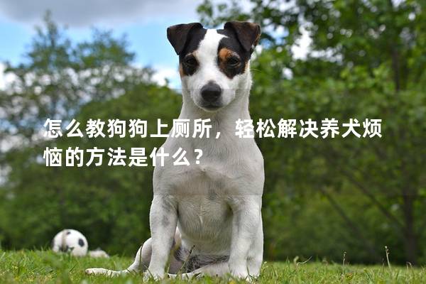 怎么教狗狗上厕所，轻松解决养犬烦恼的方法是什么？